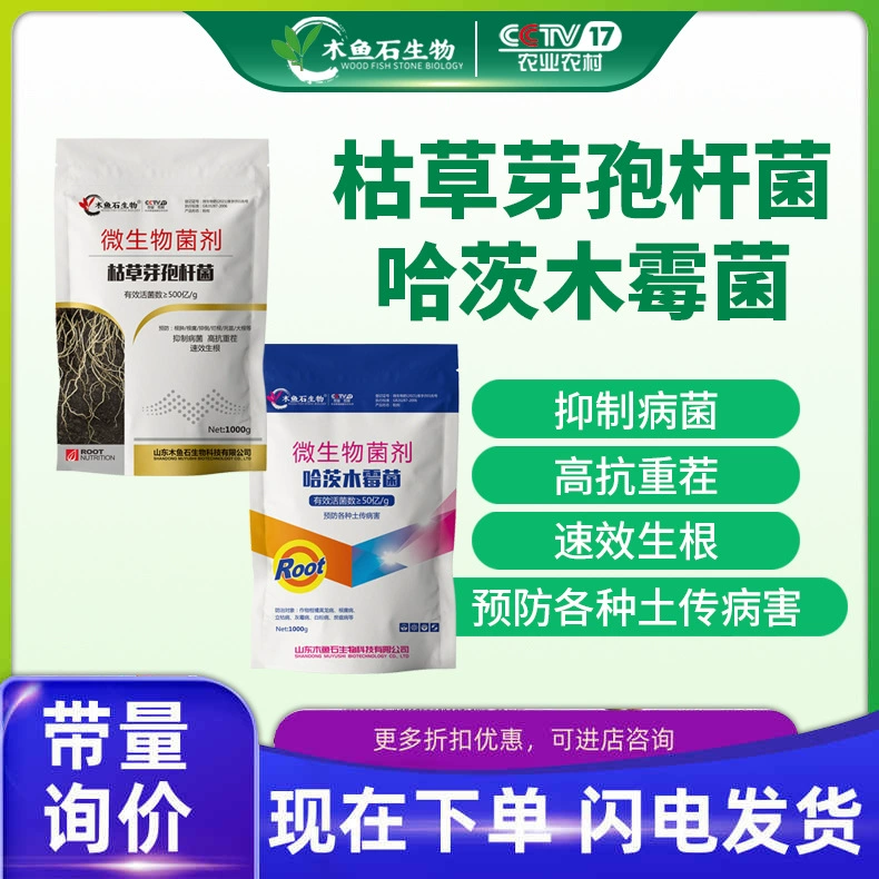 Trichoderma harzianum Bacillus subtilis Сельскохозяйственное укоренение и укрепление рассады Антисептик Микробный агент Водорастворимое удобрение