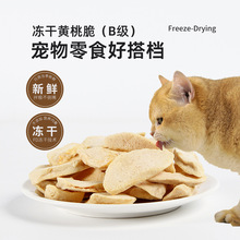 ɌʳSҴƬBÓˮɟoӄZԴ^l