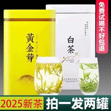 正宗白茶安吉茶树黄金芽茶叶 新茶明前珍稀高山绿茶礼盒罐装