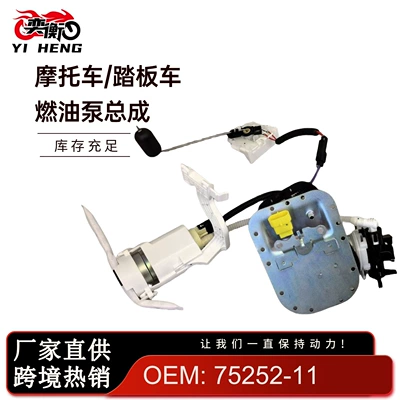 Harley 75252-11 75284-08A Yanacaq Nasosu Yığımı