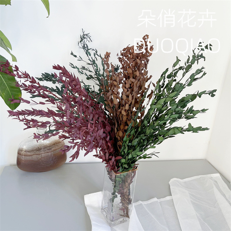 雲南永生小葉尤加利葉永生花小葉尤加利乾花雲南永生花批發桉樹葉