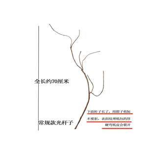 ����ӭ���ɘ�֦�ٿ����ɘ�U�°��~�Ƶ�P����Ȧ��ʽ�廨�bGֲ