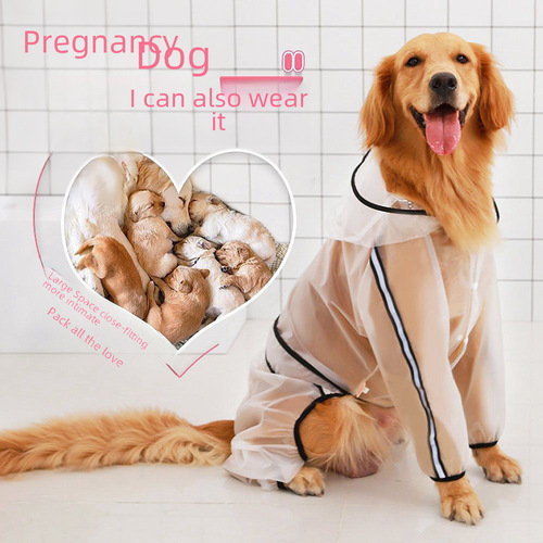 Spring and Summer New Wholesale Pet Outdoor Medium and Large Dog Four-Legged Big Dog Hooded Dog Waterproof Transparent Raincoat