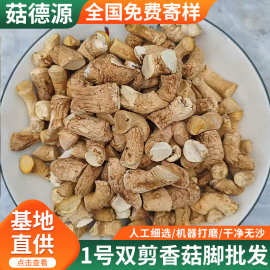 源头工厂1号精选双剪香菇脚香菇腿25KG冬菇柄食品厂专用
