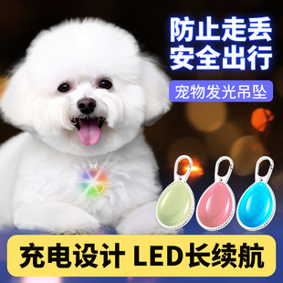 Pet Luminous Pendant Rechargeable Led Anti-Lost Flash Pendant Night Walking Cat and Dog Artifact Pet Supplies