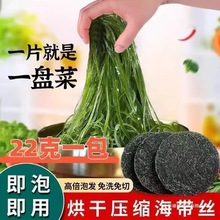 免洗压缩海带丝小包装下饭菜海带烘干圆饼霞浦凉拌菜即食整箱批发