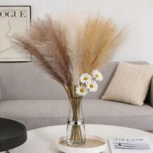 �����֧�����JȔ ins�L������Ȕ ����˹�ݹ�β�ݙ����b[��