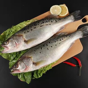 ���|�~����|�~�ك������|�~ˮ�a����R�~���~���r���l��S���]