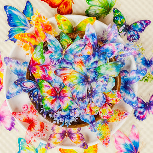 �¿�50��ˮ���Ųʺ���PET�N�����Ýu׃ɫ���L���x���~�b��N����