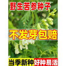 Ұ�������N���ļ��Nֲ�Ŀ�������ǲ�ػ��Ýh֦ɽ���Ӳݱ���