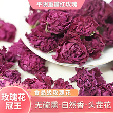 2025新品玫瑰花冠王头茬新花一朵一杯产地直发批发定制玫瑰花冠王