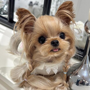 �s������Ȯ���N���w�s����Ȯ���̽��^�y����ɫ�豭�w�s���Č��ﹷ