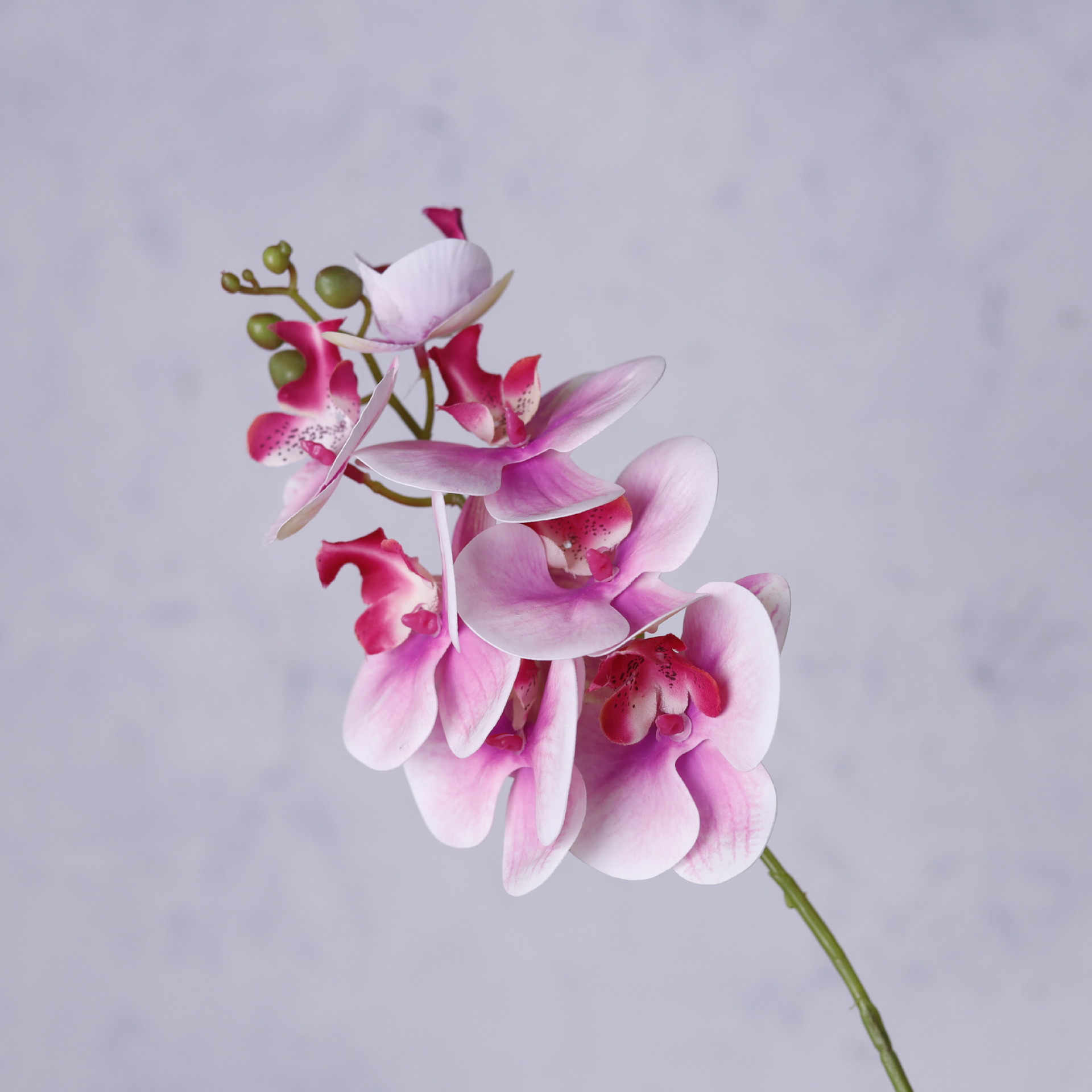 Impresión 3D de 7 cabezas de orquídeas mariposa flor de decoración de flores de alto nivel flor de nicho decoración floral decoración de sala de estar