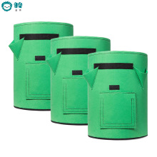 �F؛ë�ַNֲͰ͸����ˮ���ڟo�����߲˷���������ݮ�Nֲ���@��