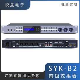 SYK-B2 专业数字前级效果器混响处理防啸叫反馈抑制功能全自动