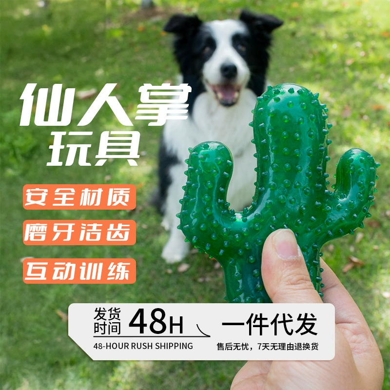 Заводская прямая продажа забавной игрушки-кактуса для собак из ТПР с шипами для чистки зубов и легко моющихся игрушек для снятия скуки.
