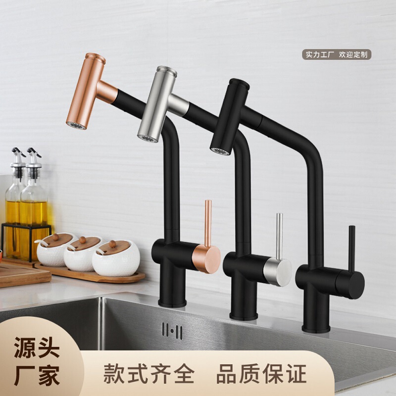 Source manufacturers cross-border new 304 stainless steel kitchen withdrawal faucet rotatable single household vegetable basin Dragon
