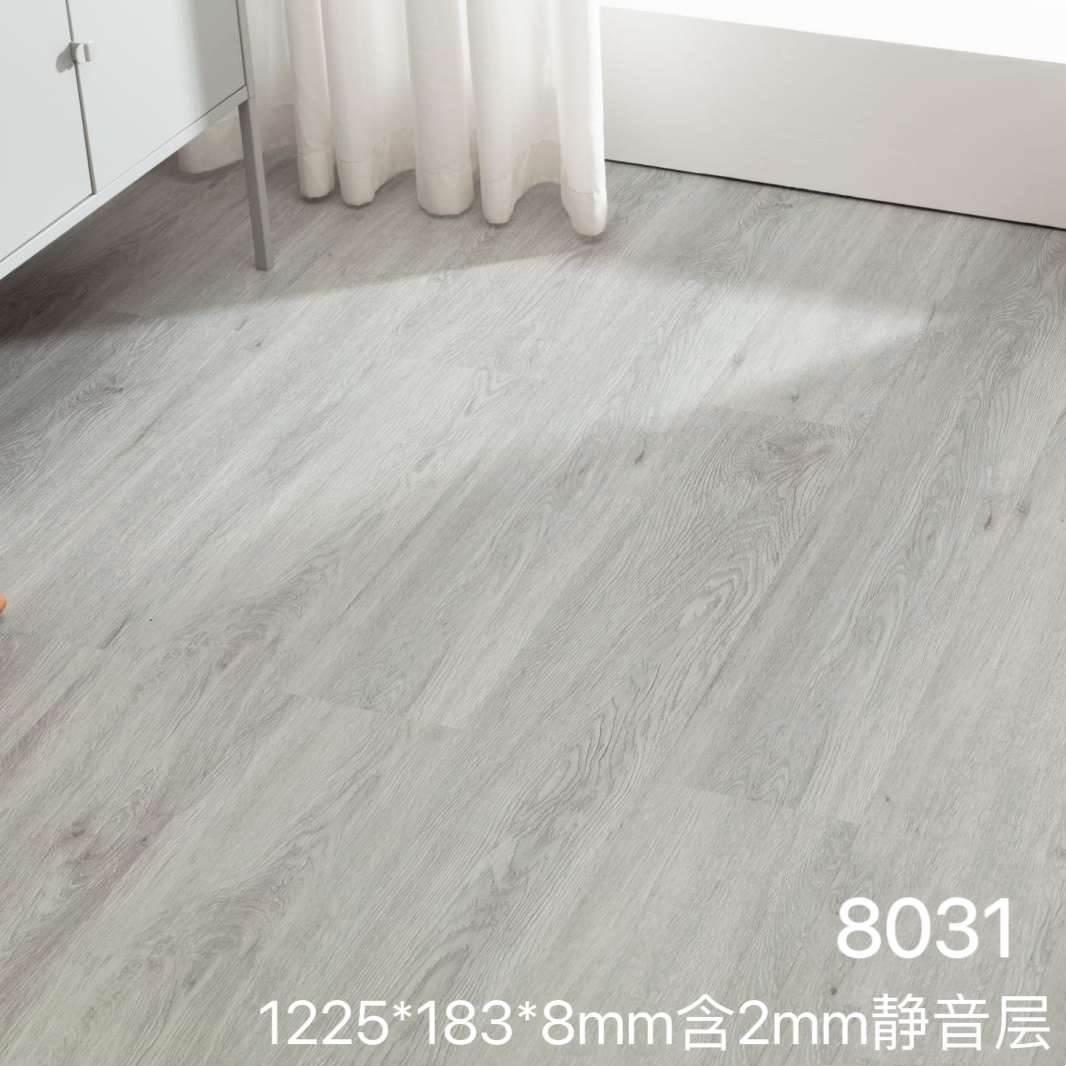 8mm 럭셔리 사일런트 모델 8031 핫 컬러