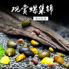 �������^�p�ݻ��w�����ݹ������O�����ϼy�ݰ��R��΁ţ�������ײ�