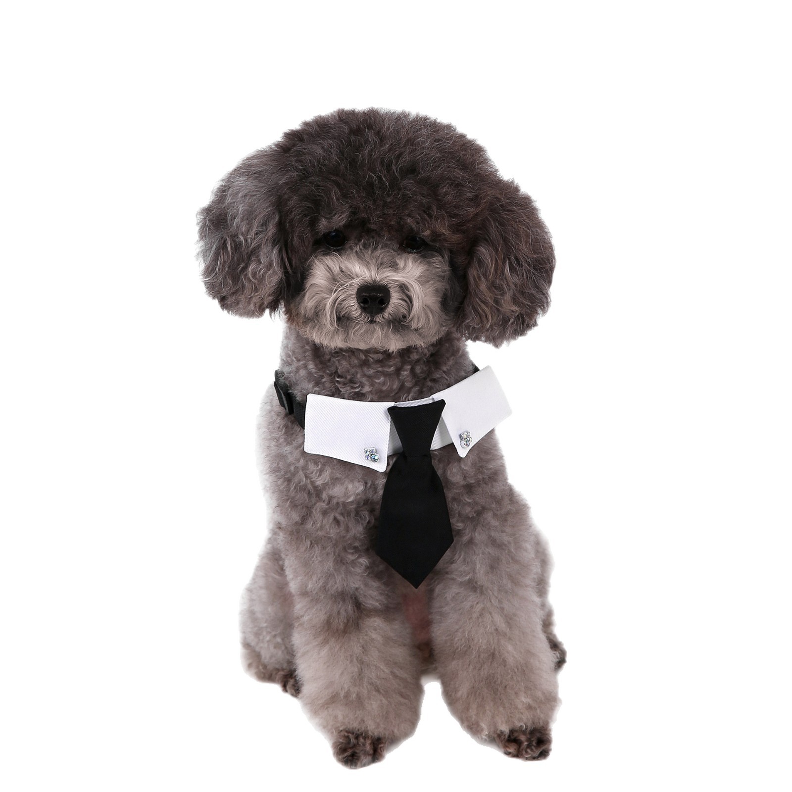 Perro transfronterizo estilo británico guapo traje de boda ropa de perro corbata collar decoración al por mayor