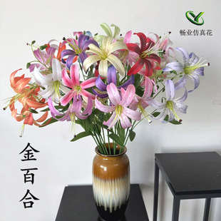 5�^��ٺϻ���c�bٻ��¿��{��ɫ���üҾ��b��û�3D�ٺϻ�