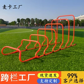 足球训练用具;匹克球拍;足球护腿板