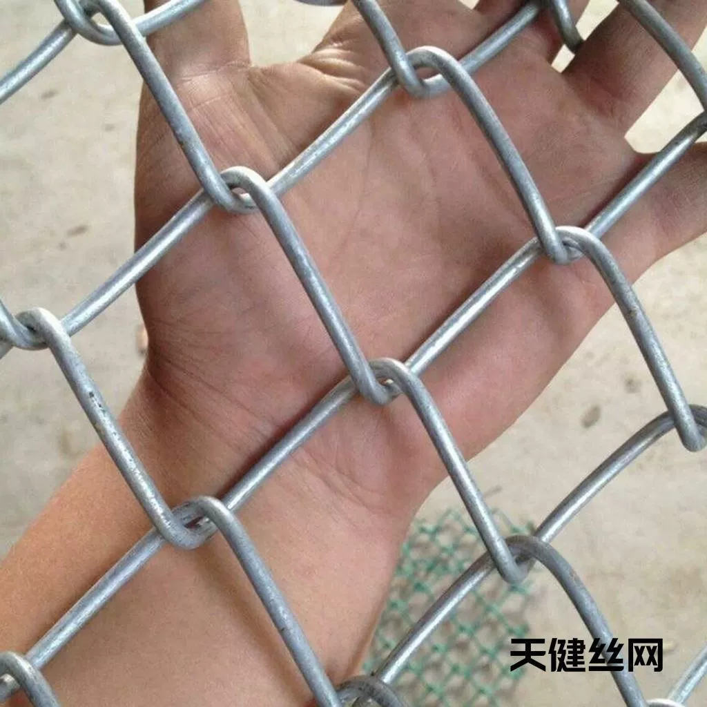 Оцинкованная сетка для ограждения сада, защитная сетка для разведения кур и собак, изоляционная сетка с крючками без ржавчины.