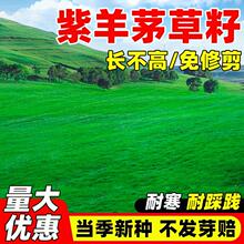 �ļ���������é���Ѳ�ƺ�N�Ӹ���é�����ͺ��o�¹���ͥԺ�G���N��