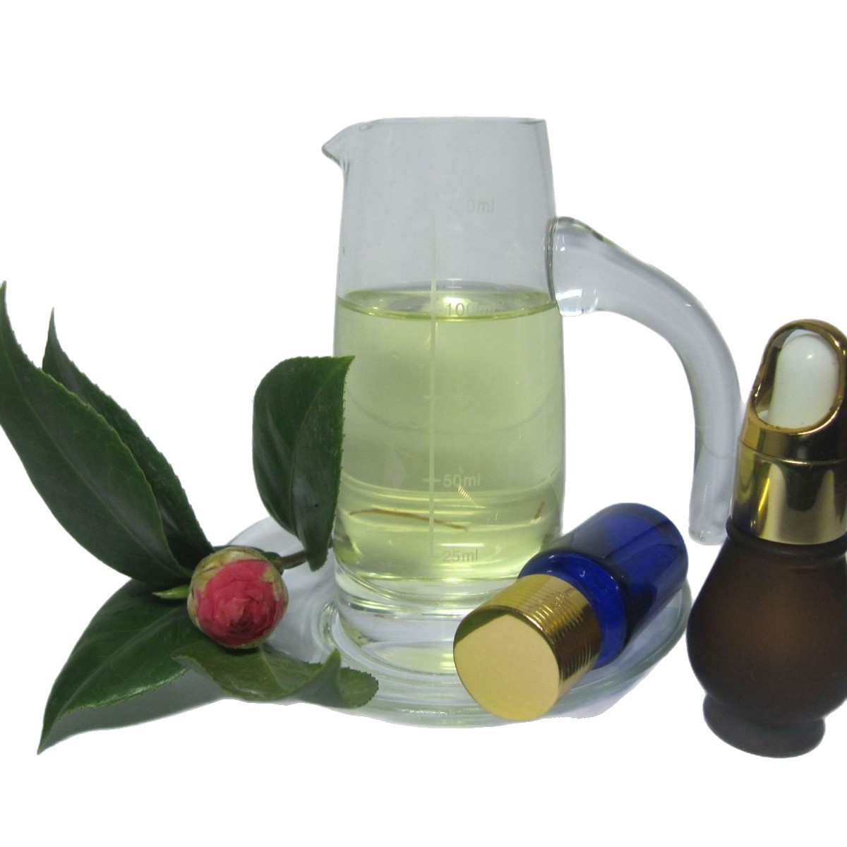 ��Ҷ�� ������   ����������ȡ  ��ӭѡ��