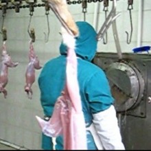 �����_�N�����ך���ˮ�� �������O�� �����������a��