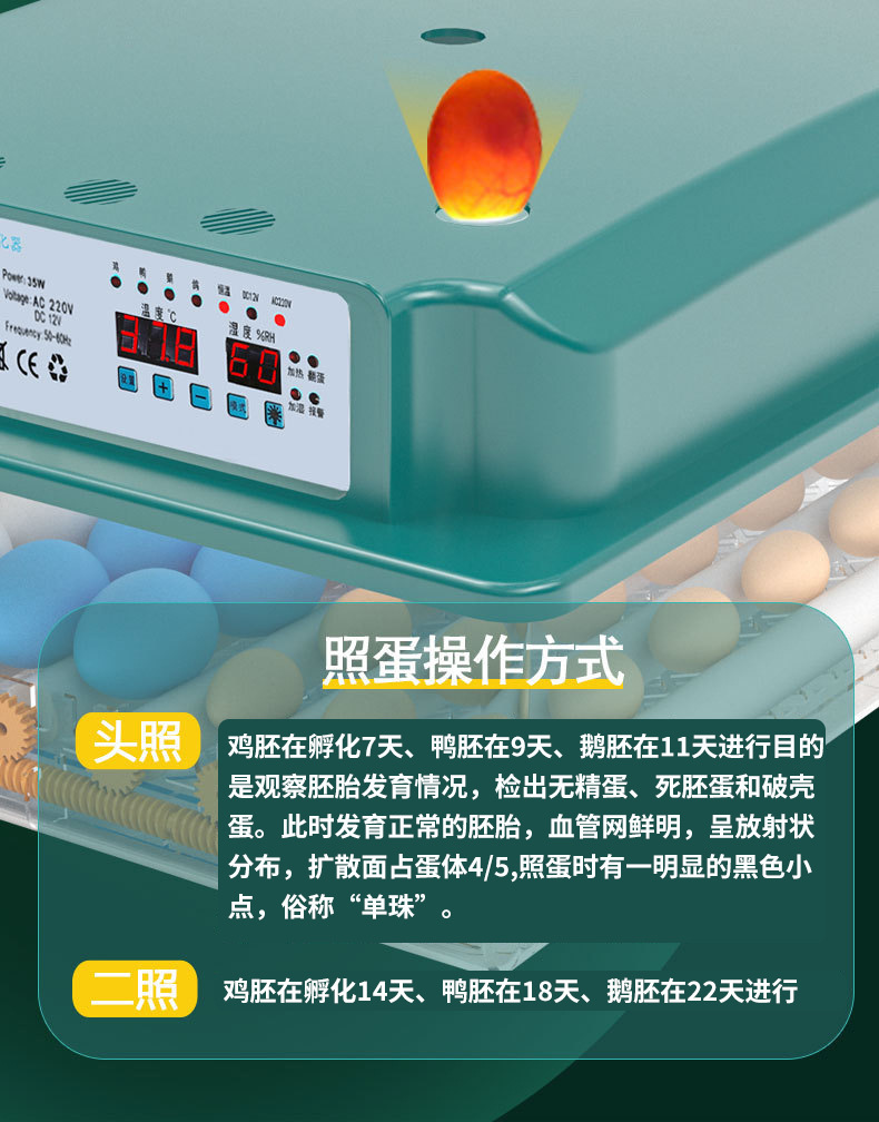 字体排查_08.jpg