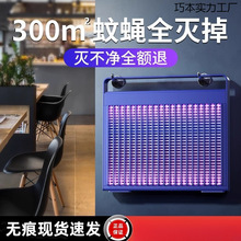 ���ß�������������ЋD���׃�2025�¿��҃ȷ���늓�������ω�¿�