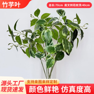 �羳����ֲ���ͮ������~  ��ʽ�Ҿ��b����辰��c�廨������l