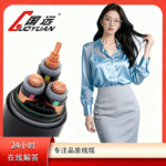 WDZ-YJY铜芯电线低烟无卤国标纯铜线无卤阻燃低压电力电缆yjv电缆