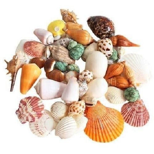 Creative set, photography props, aquarium decor handmade, creative gift, home decor