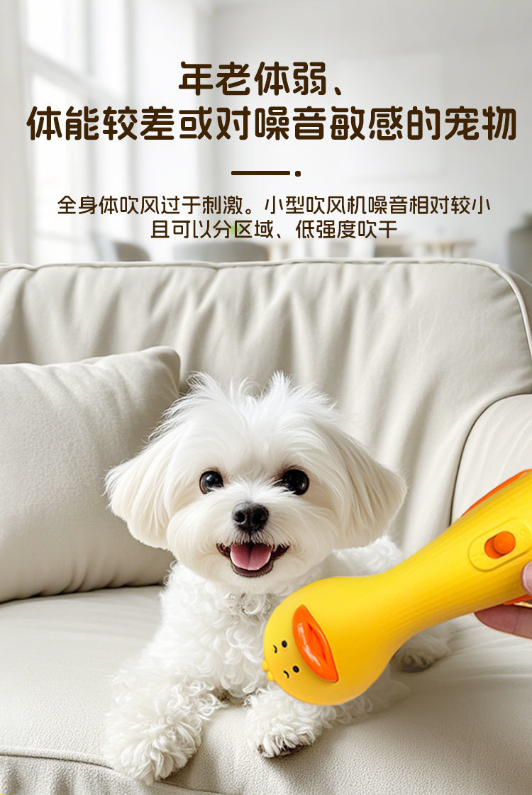 1426fc1f-e7e8-49e4-9f5a-1a1b1906e303.jpe