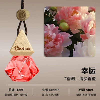 Car Perfume Aromatherapy — Fragrance Fresh Light Scent Set - lucky