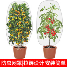 ���x�W�� ���W�N�ˌ��ù������ˈ@�{ݮ���ѻ��軨�@ͥԺ ���B�W