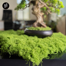 ���ջ������̦�\�������̦����͸ˮ͸�⻨�����پG̦�b�Ƥ