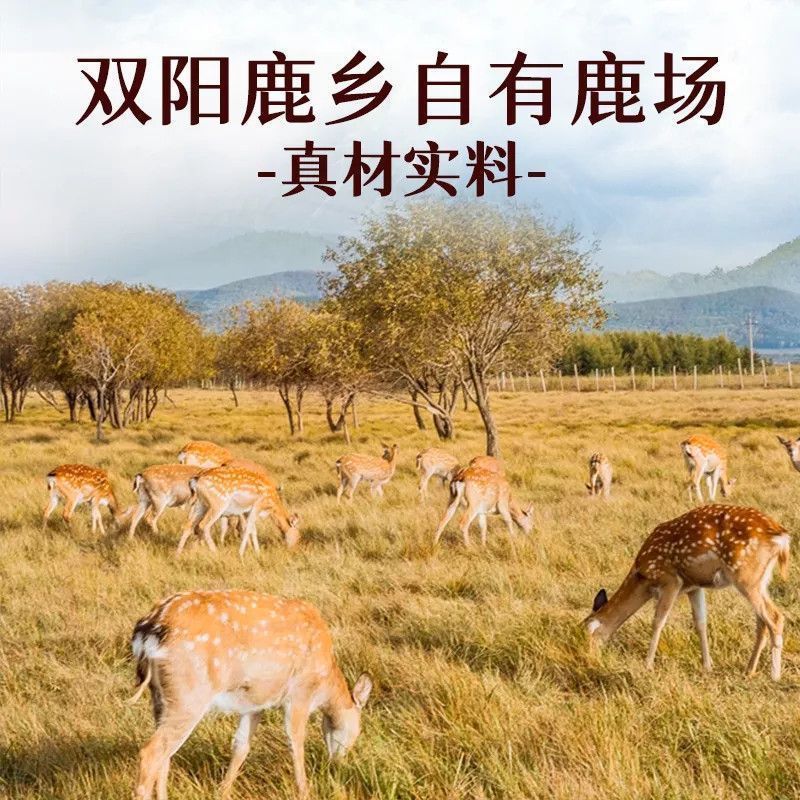 谯山谷鹿筋丸50g罐装男女性温补滋补厂家批发代加工一件代发|undefined