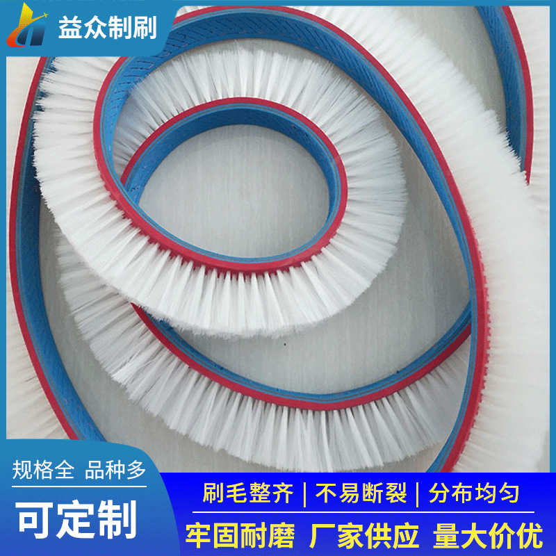 供应尼龙丝皮带刷 清洗机皮带毛刷 环形除尘皮带毛刷