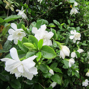 �󻨝���ĵ���d�ӻ����С�~�ļ������ֲ̨���҃����������ԾGֲ