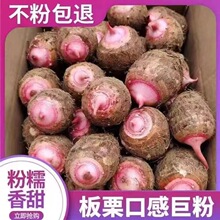 当季小芋头斤粉糯毛红芽510荔浦芋头包邮金华蔬菜鲜奶油香新芋艿