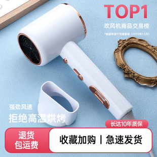 ���L�C���ÌW��������С���ʌW���LͲ800w����L�W�t2024�N���¿�