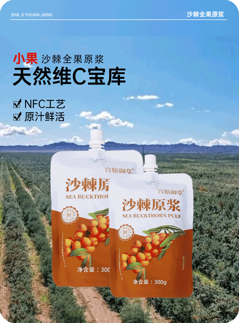 Sea Buckthorn Juice Puree 300ml Portable Spout Pouch Inner Mongolia Sour Berry Drink overview