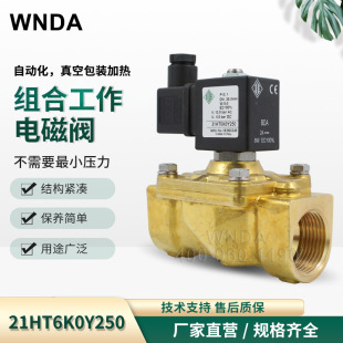 �����ODE늴��y�S�~�z�ۃ�ͨ�㉺����21HT6K0Y250 dn25 220v�F؛