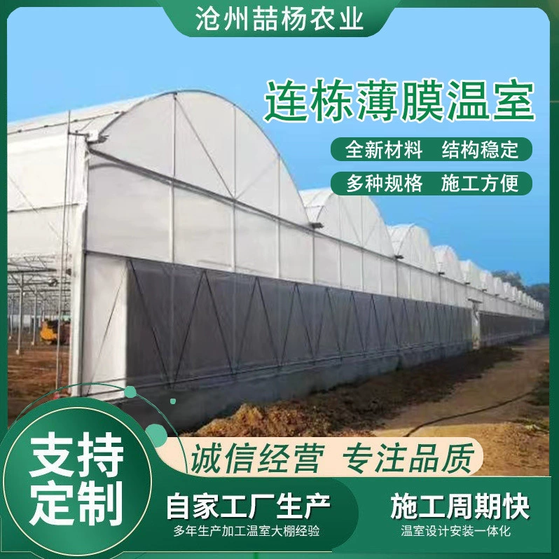 Многопролётная пленочная теплица, с внешним затенением и внутренней изоляцией, для выращивания садовых цветов и клубники