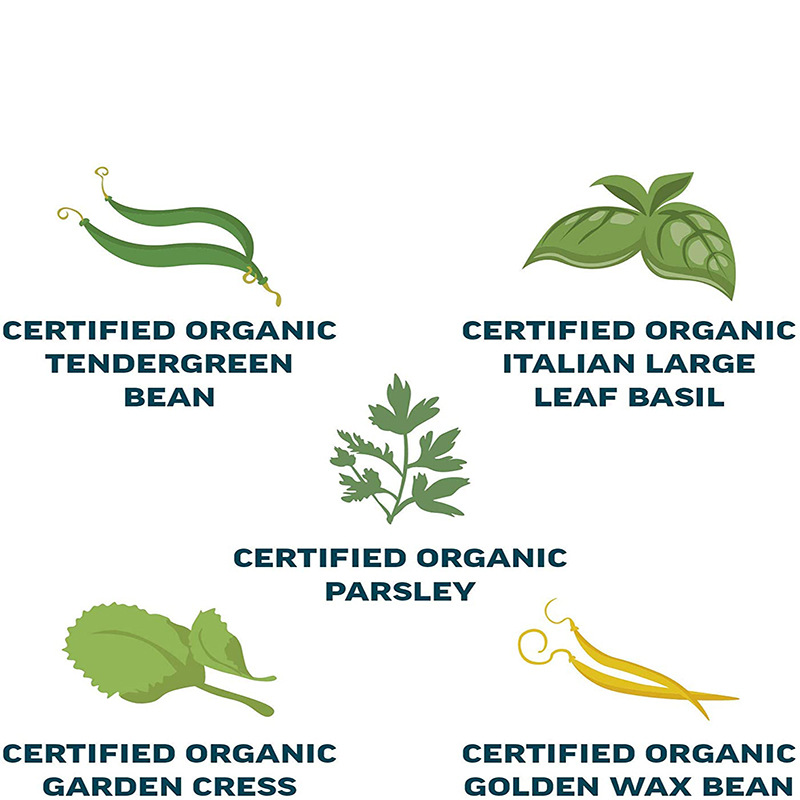 厂家直供香草豆类室内花园套件创意亚马逊儿童新手花盆种植套装