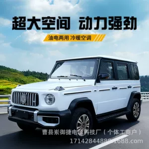 Oil-Electric Hybrid 4-Wheel Electric Car for Women