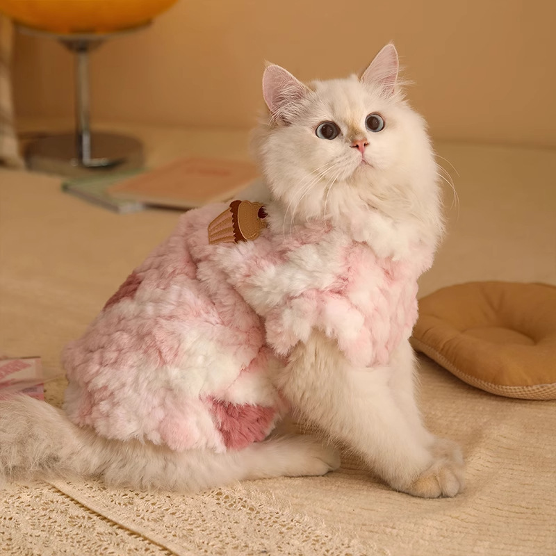 Ropa de invierno para gatos, muñecas de pelo para gatos, gatos, mascotas, gatos, invierno, ropa cálida para gatos, invierno